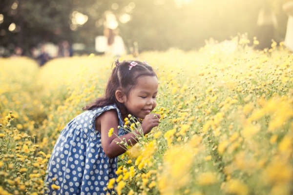 Child asian little girl smelling flower in the garden