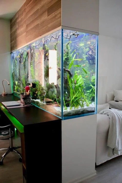 Aquarium zu Hause Raumteiler zwischen Heimbüro und Wohnzimmer ganz spektakuläre Gestaltung