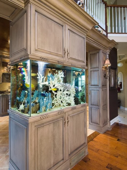 Aquarium zu Hause bringt die bunte Unterwasserwelt ins eigene Zuhause  attraktive Raumgestaltung