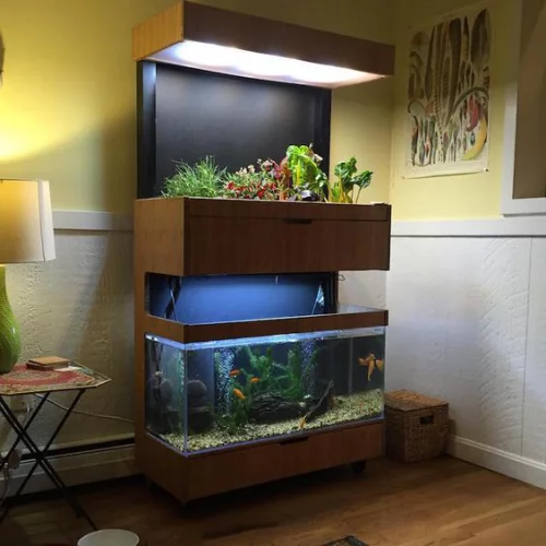 Aquarium zu Hause definitiver Blickfang im Wohnraum ideen