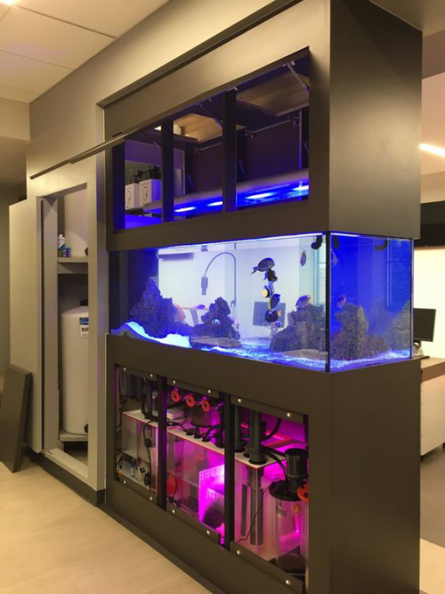 Aquarium zu Hause der schönste Raumteiler in modernen Wohnungen ideen