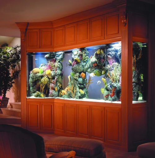 Aquarium zu Hause großes eingebautes Becken vielfältige Unterwasserpflanzen ein Blickfang im Raum