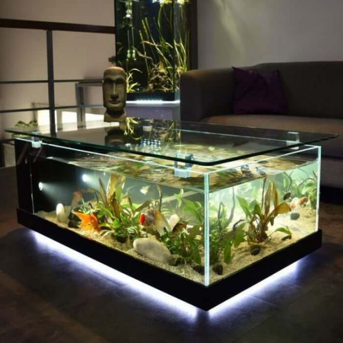Aquarium zu Hause spezielle Beleuchtung lebensnotwendig für die kleinen Bewohner