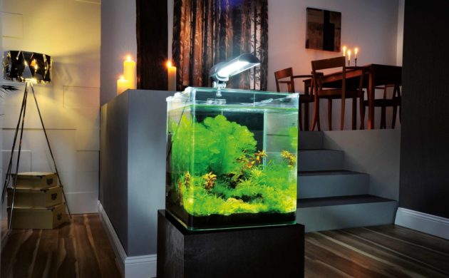 1000 Wohnzimmer Ideen - tolle Einrichtungsideen mit Stil - Freshideen 1