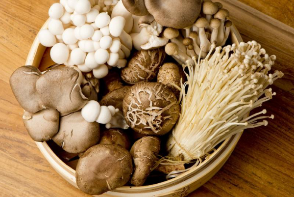 Gesundes Essen in Corona Zeiten essbare Pilze erkennen sammeln kochen