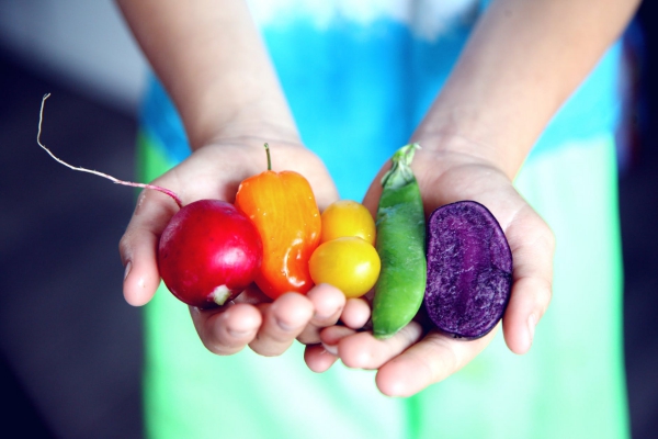 Gesündestes Gemüse Top 5 der nahrhaftesten Sorten buntes gemüse alle farben des regenbogens