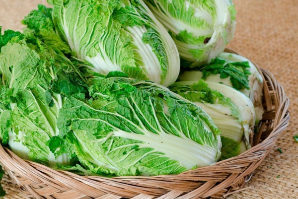  Υγιέστερα λαχανικά Κορυφαία 5 από τα πιο θρεπτικά είδη κινεζικού λάχανου υπέροχα υγιή 