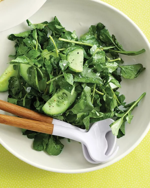 Gesündestes Gemüse Top 5 der nahrhaftesten Sorten gesunde brunnenkresse salat