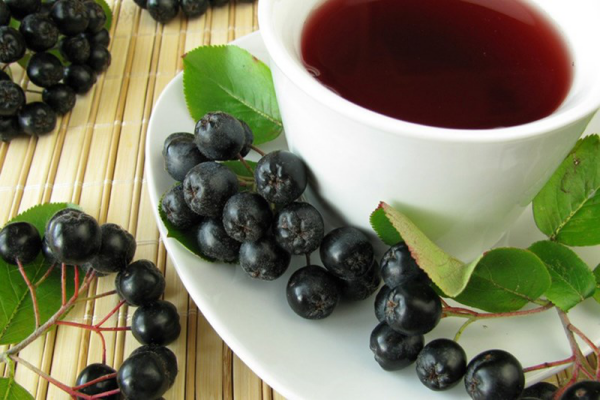 Getränke gegen Corona Aronia Tee aus Aroniabeeren schmeckt gut ist gesund