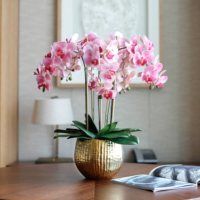 Orchideen richtig pflegen mehrjährig wunderschöne rosafarbene Blüten Tischdeko goldener Blumentopf
