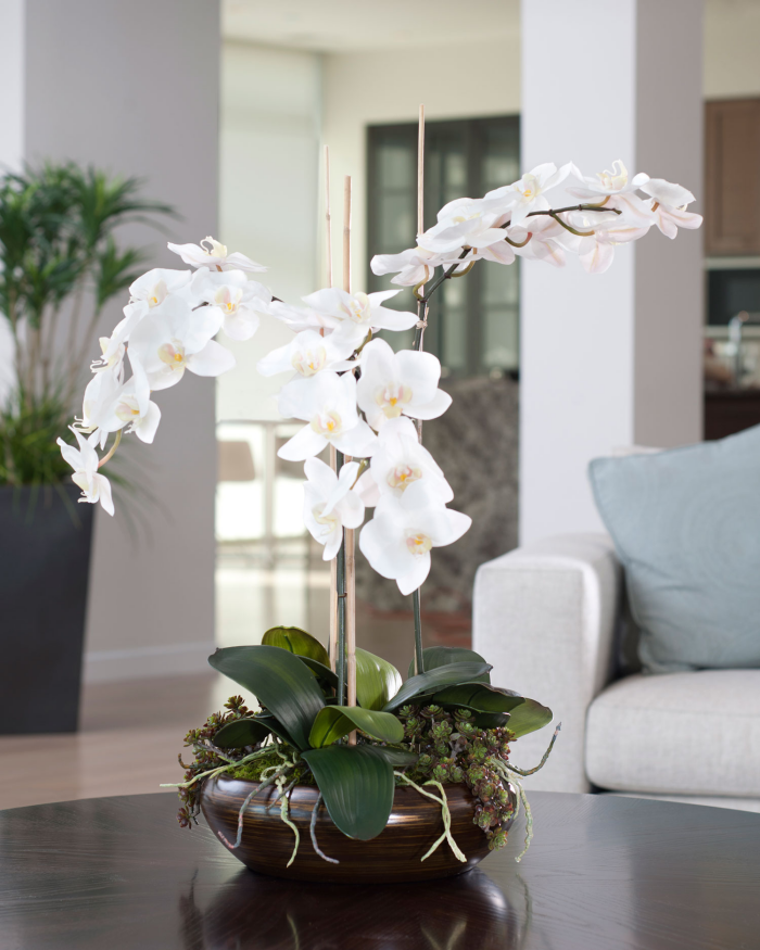 Orchideen richtig pflegen schöne weiße Blüten dunkelbrauner Topf als Tischdeko Blickfang