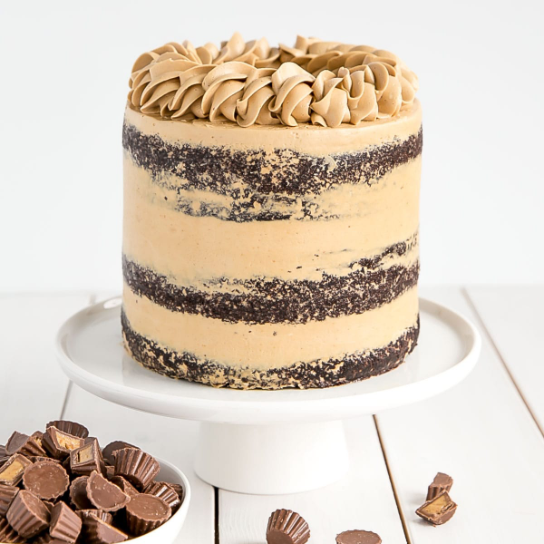 Schokoladenkuchen mit Erdnussbutter Frosting kunstvoll gestaltet unwiderstehlich aussehen