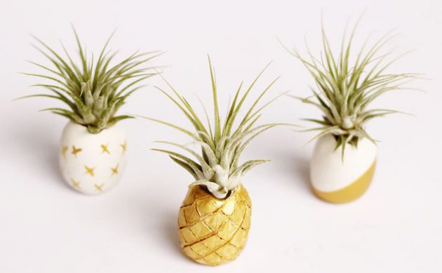 Mini Blumentöpfe in Ananas-Form aus Ton
