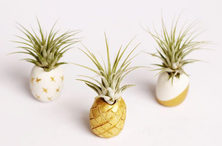Mini Blumentöpfe in Ananas-Form aus Ton