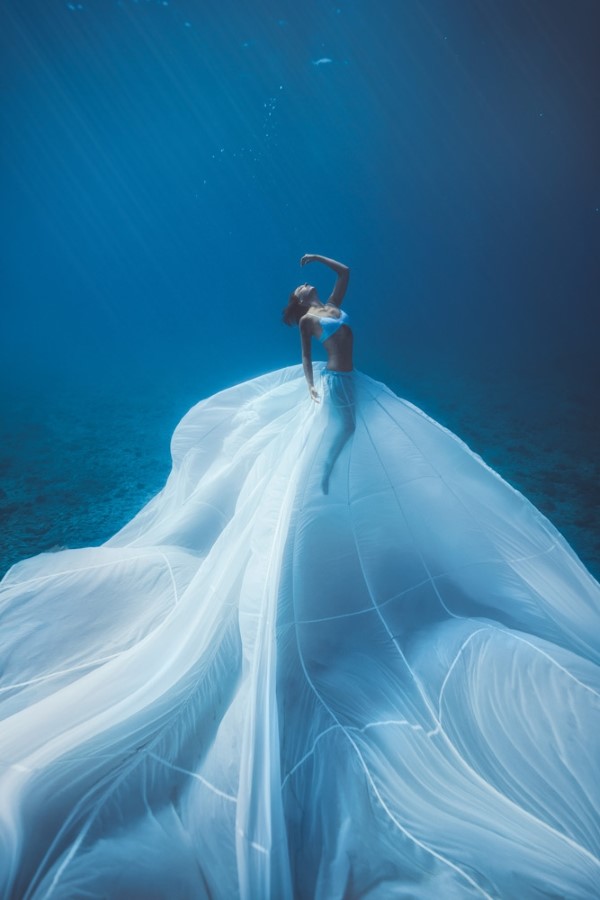 2020 Tokyo International Foto Awards – Top 20 Gewinnerfotos des Jahres queen unterwasser