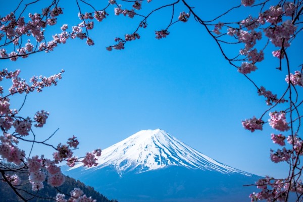 Februar ist der nationale Monat des Haiku Gedicht Schreibens fuji berg blüten