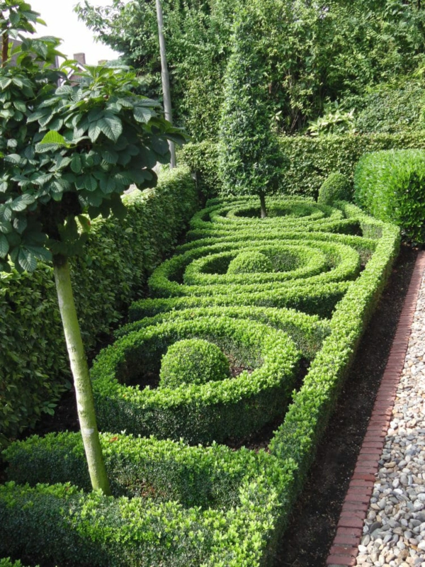 Immergrüne Privatsphäre Hecke Landschaftsbau Ideen