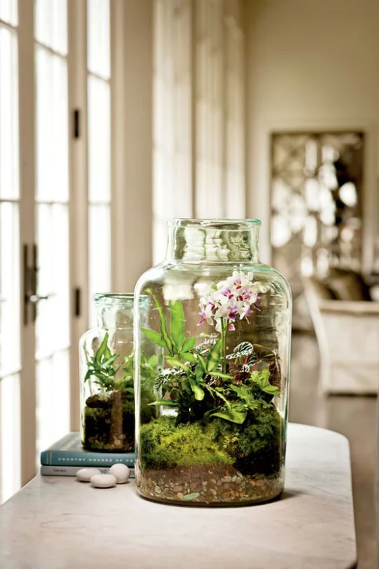 Minigarten im Glas blühende Zimmerpflanzen schmücken das Arrangement viel Grün
