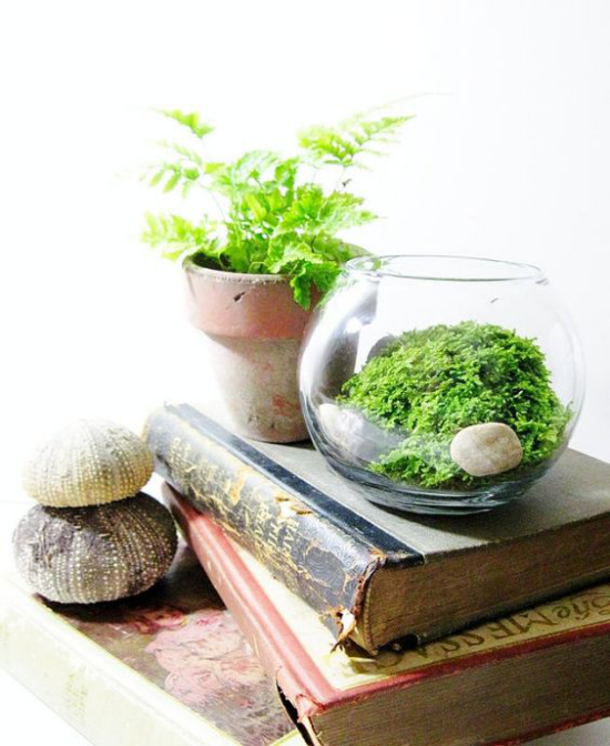 Minigarten im Glas ein Glasbehälter ein ausgedienter Blumentopf Deko alte Bücher