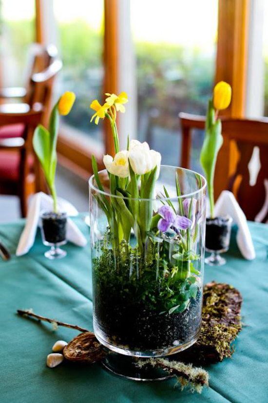 Minigarten im Glas hoher Glasbehälter interessantes Arrangement mit Narzissen und Tulpen schöne Tischdekoration