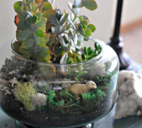 Minigarten im Glas bringt ein Stück Natur ins Haus
