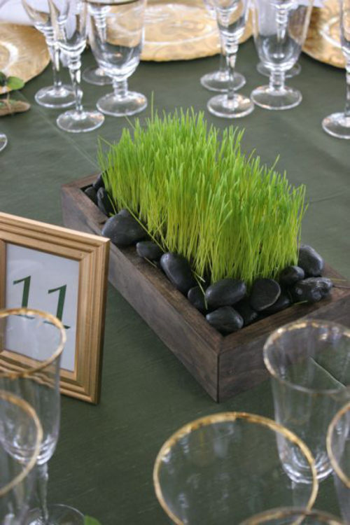 Ostergras selber säen im Holzkasten mit schwarzen Steinen dekoriert auf dem Tisch Blickfang