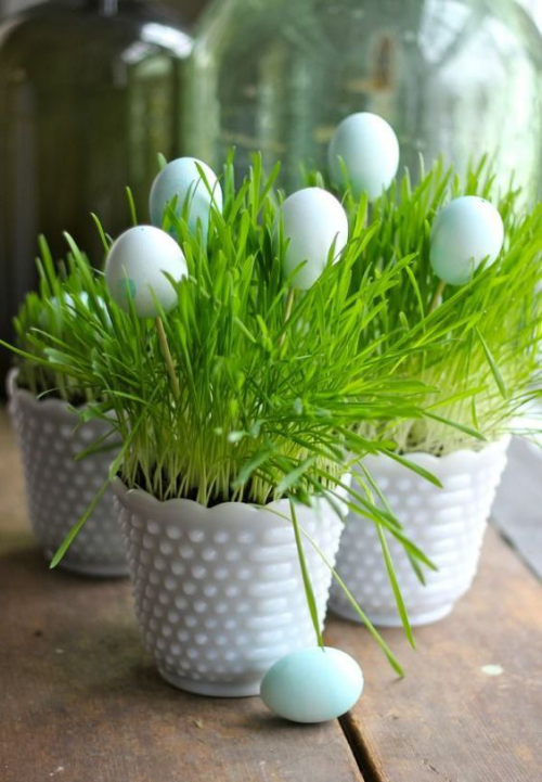 Ostergras selber säen schöne weiße Keramiktöpfe weiße Eier im Gras perfekte Osterdeko