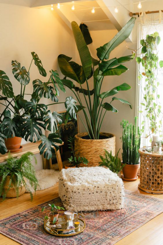Trends 2021 in der Inneneinrichtung viele grüne Zimmerpflanzen exotische Blätter natürliche Materialien Teppich Hocker Körbe