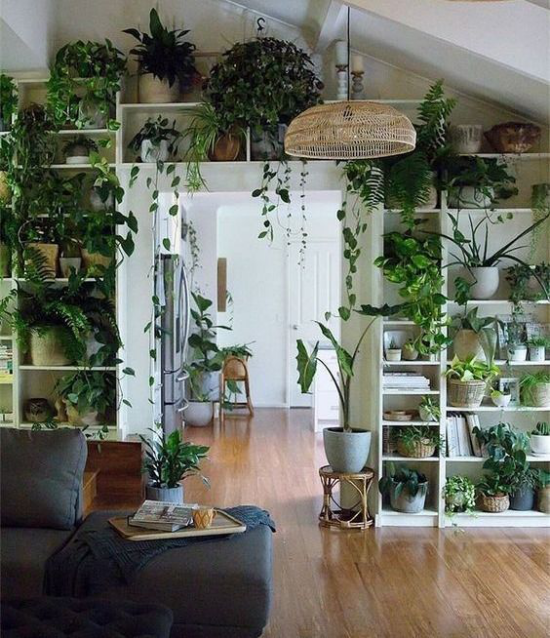 Trends 2021 in der Inneneinrichtung üppiges Grün zahlreiche Zimmerpflanzen Regale beste Raumdekoration