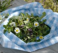 Essbare Wildkräuter- 10 gesunde Frühlingsrezepte aus der Kräuterküche