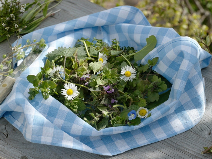 gesunde frühlingsrezepte salat gänseblümchen