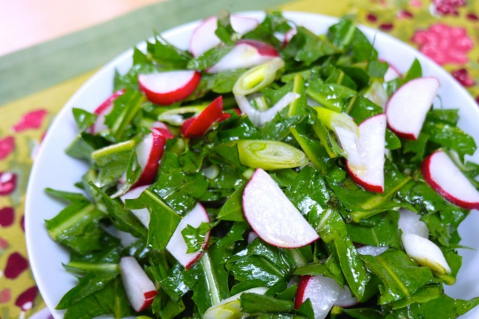 gesunde frühlingsrezepte salat radiechen