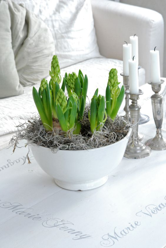 skandinavische Frühlingsdeko Hyazinthen im weißen Topf auf dem Kaffeetisch weiße Kerzen silberne Kerzenständer