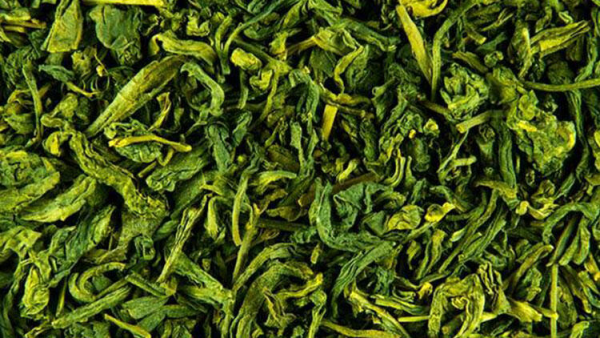 vitalisierende Tees Grüntee grüne Tlätter darin steckt viel Energie