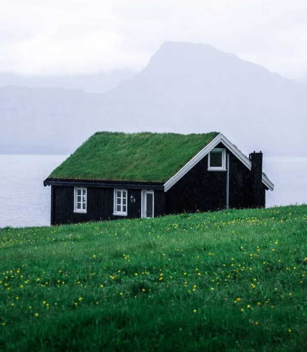 Ökologische Außenfassaden So wird das eigene Haus umweltbewusster haus natur wiese dach