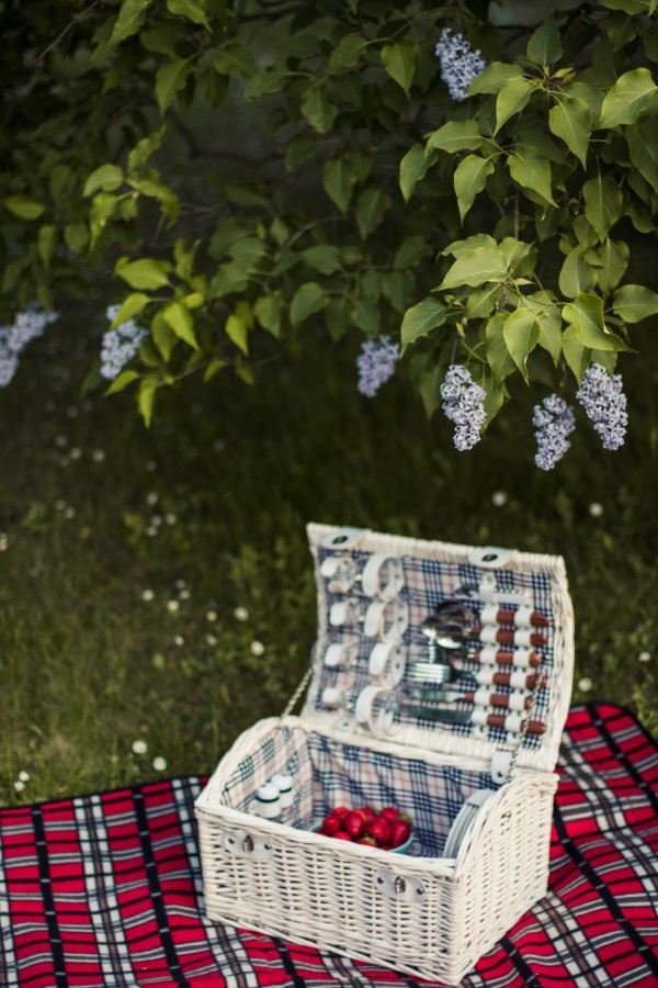 Frühling mit einem Osterspaziergang begrüßen – frische Ideen für die ganze Familie picknick gesund packen
