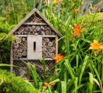 Insektenhotel basteln und den Frühlingsgarten mit freudigem Summen erfüllen