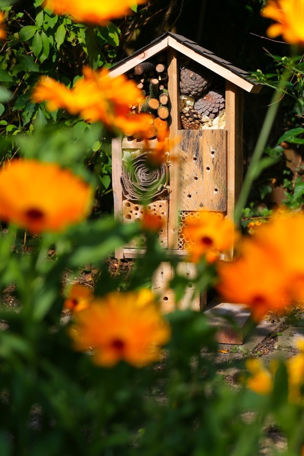 Insektenhotel basteln und den Frühlingsgarten mit freudigen Summen erfüllen schöne garten ideen diy