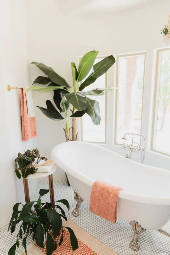 Tropische Deko im Bad Dschungel-Feeling passende Badpflanzen große üppige Blätter rosa Handtücher Badewanne mit Löwenfüßen
