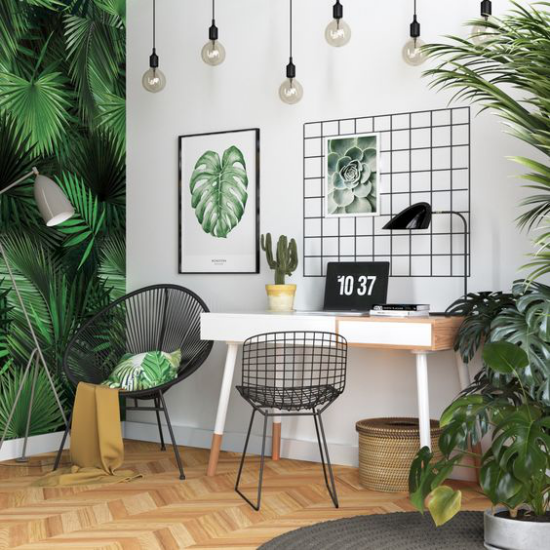 Tropische Deko im Home Office einfache Büroeinrichtung links Akzentwand rechts grüne Topfpflanzen Poster Foto von Sukkulenten