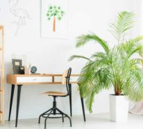 7 Tipps für ein grünes und nachhaltiges Home Office