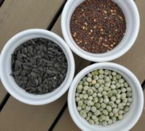Microgreens – Wie und warum Sie das Superfood selber anbauen