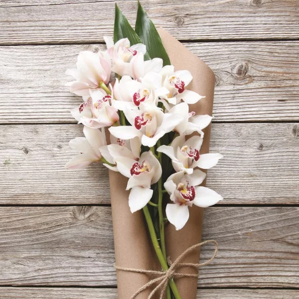 Blumenstrauß zum Muttertag selber binden – Die besten Blumenarten für Mama und Tipps orchideen strauß weiß muttertag
