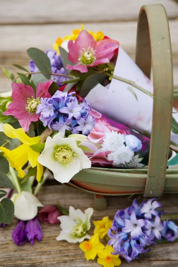 Blumenstrauß zum Muttertag selber binden – Die besten Blumenarten für Mama und Tipps schöne blumen zum muttertag