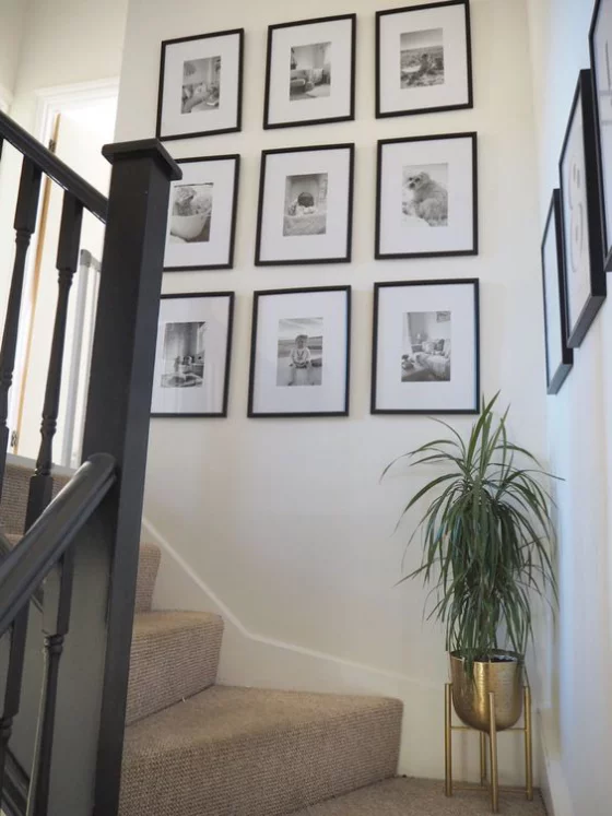 Fotowand im Treppenhaus Rasterhängung sechs Bilder schön gestaltet Blumentopf auf der Treppe