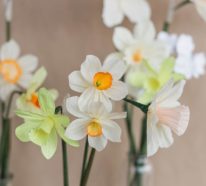 Frühlingsblumen basteln mit Kindern – Ideen und Anleitung für Anfänger und Profi-Bastler