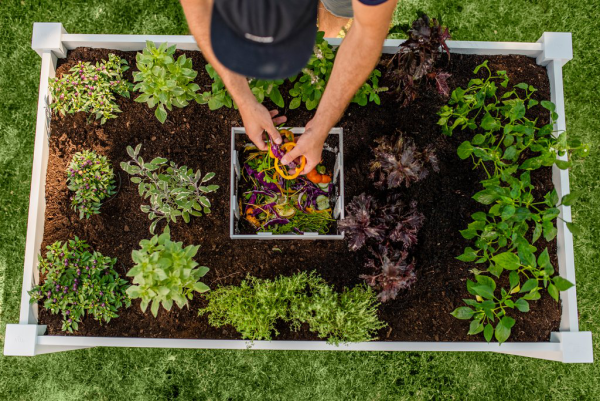 Hochbeet in Schlüssellochform Kompostkorb wichtiges Element Gemüse und Küchenkräuter anbauen