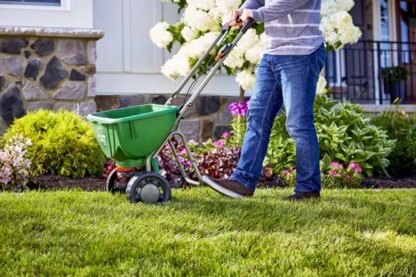 How-to-Take-Care-of-Your-Lawn-in-Spring-Season-pinterest