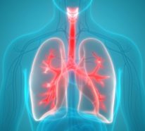 Lunge stärken: 7 Möglichkeiten zur Verbesserung Ihrer Lungenkapazität