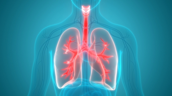 Lunge stärken Lungenkapazität verbessern gesunde Lunge